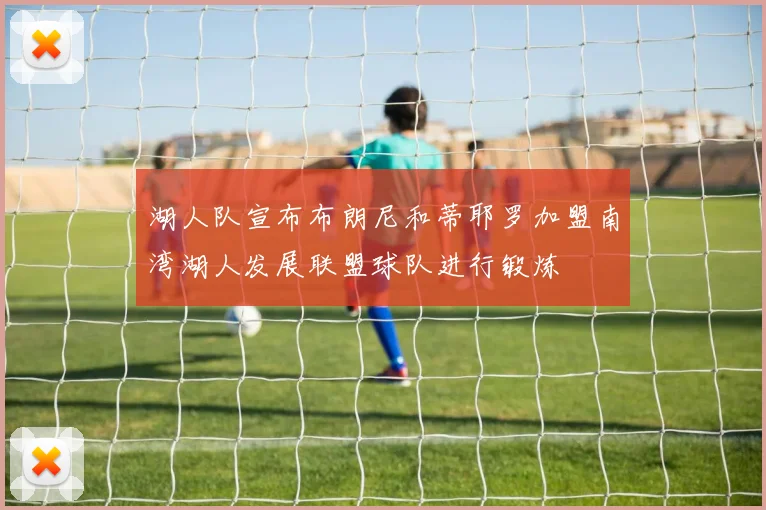 湖人队宣布布朗尼和蒂耶罗加盟南湾湖人发展联盟球队进行锻炼
