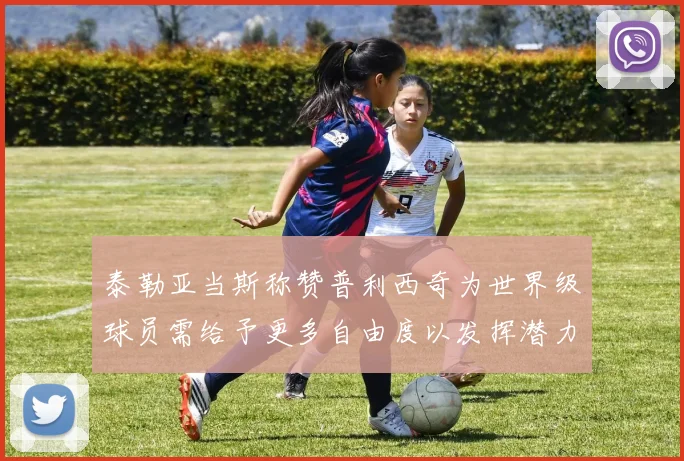 泰勒亚当斯称赞普利西奇为世界级球员需给予更多自由度以发挥潜力