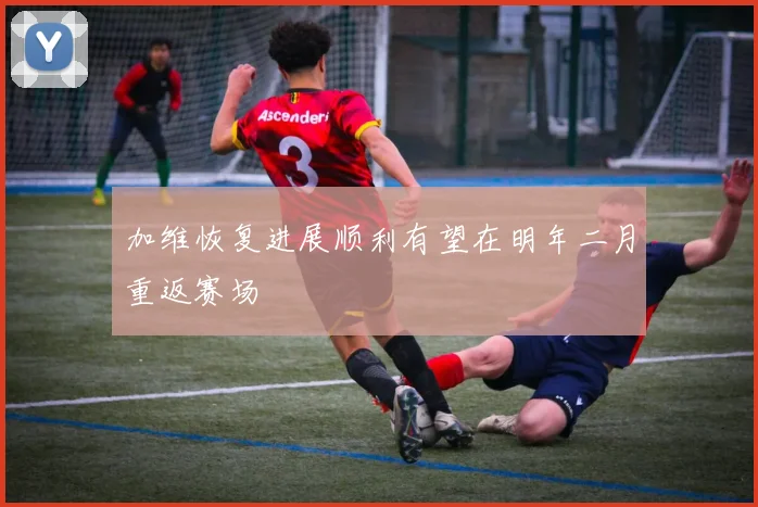 加维恢复进展顺利有望在明年二月重返赛场