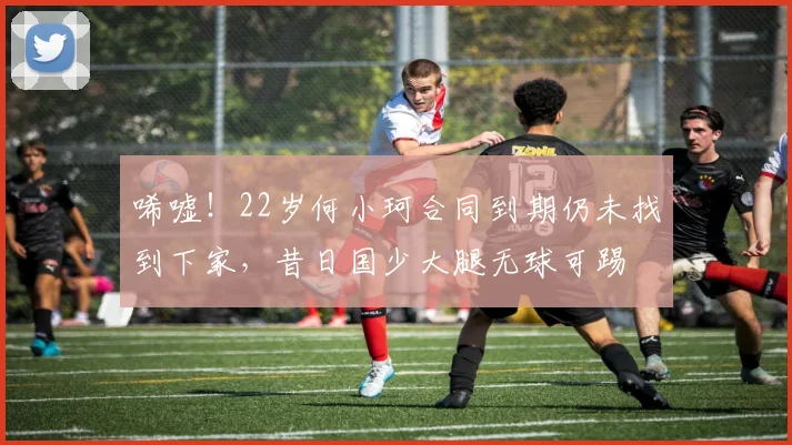 唏嘘！22岁何小珂合同到期仍未找到下家，昔日国少大腿无球可踢