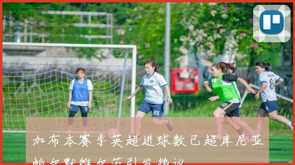 加布本赛季英超进球数已超库尼亚帕尔默维尔茨引发热议